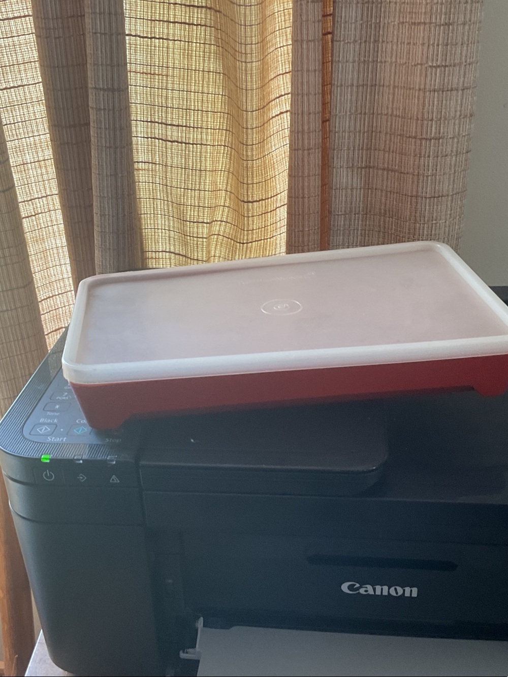 Tupperware bacon or hot dog keeper